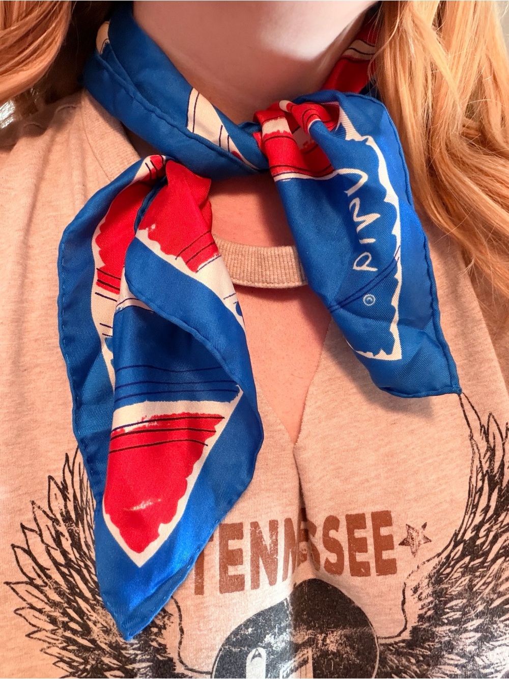 a.n.a Blue and Red Graphic Neck Scarf